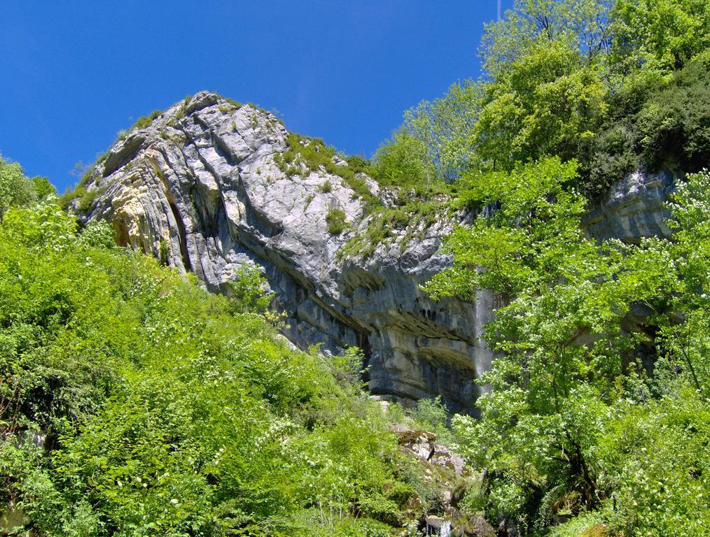 Vvf Jura Lac De Vouglans Maisod Exteriör bild